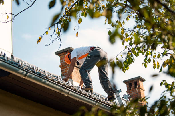 Roof Insulation Installation in Vermilion, OH