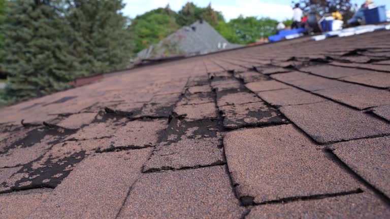 Best Emergency Roof Repair Services  in Vermilion, OH