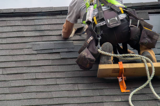 Roof Moss and Algae Removal in Vermilion, OH