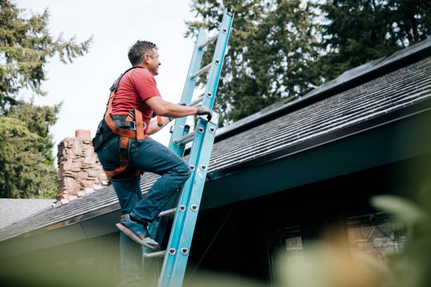 Best Roof Maintenance and Cleaning  in Vermilion, OH